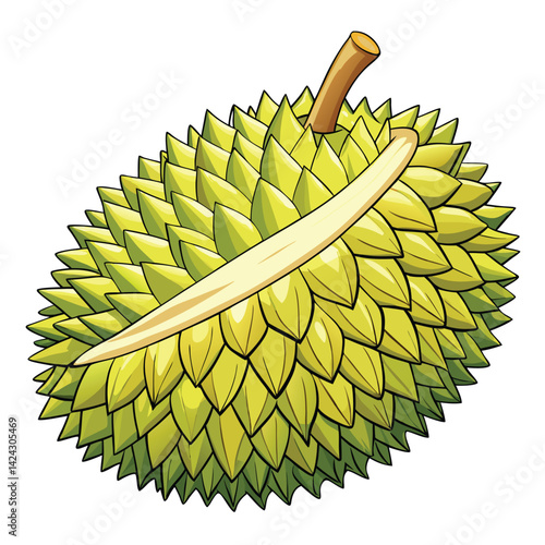 Illustration of a Durian fruit