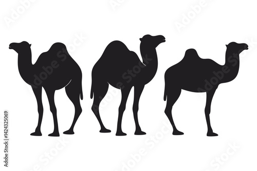 camel vector illustration