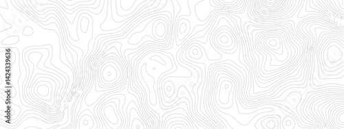 
Contemporary Abstract Topographic Map with Geometric Lines and a Clean Modern Grid Layout on a White Background
