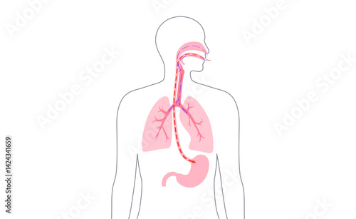 Consumption system poster