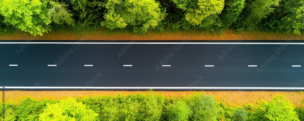 Scenic Road View Surrounded by Lush Green Trees Aerial Photography Nature Open Landscape