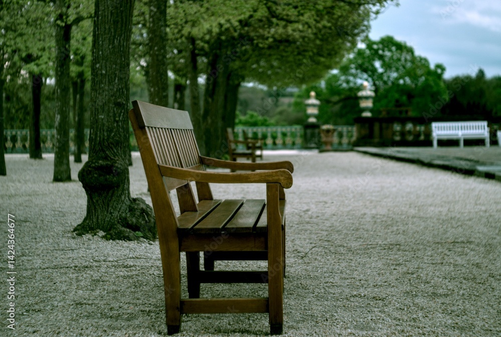 chairs in the garden chairs in the garden