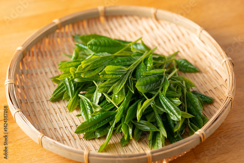 新茶　茶葉