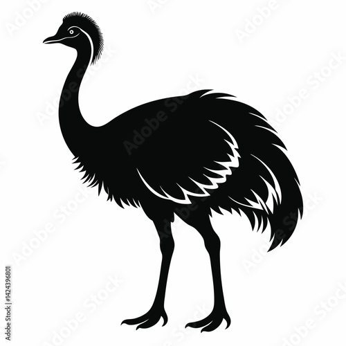  set of Emu shilhotee vector with white background