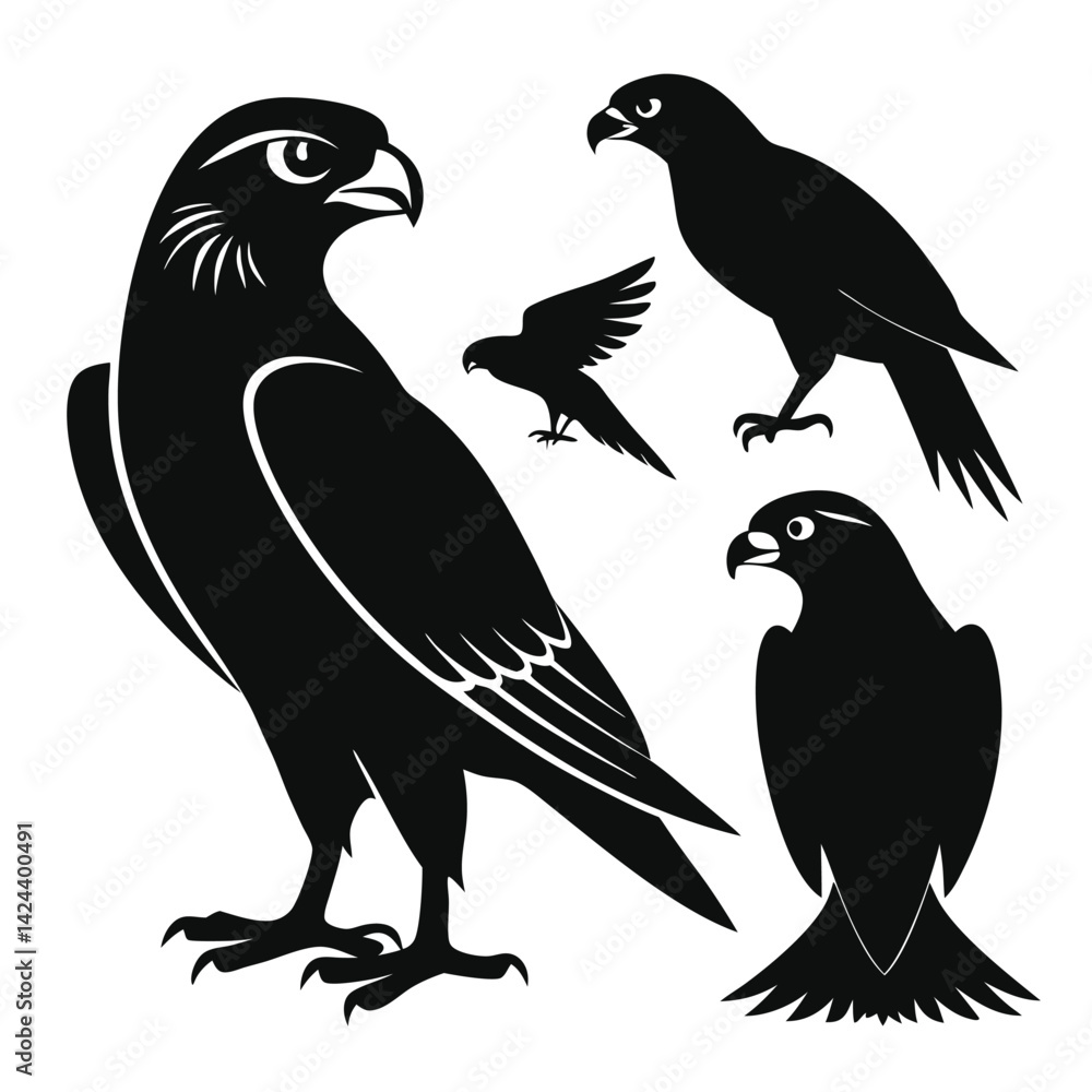 Fototapeta premium set of Falcon shilhotee vector with white background