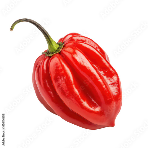 Red habanero chili png spicy hot pepper png red chili png white background image