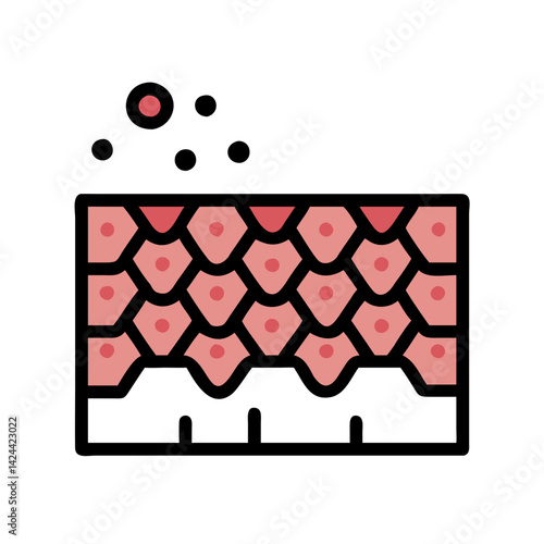 Squamous Epithelium Layer, Human Skin Microscopic Structure Illustration