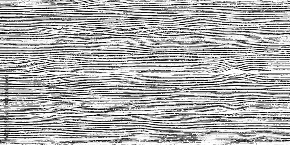 Abstract art on wood vector for card, illustration background, Close-up wooden lines texture. Tree rings. Annual ring. 