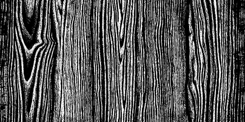 Abstract art on wood vector for card, illustration background, Close-up wooden lines texture. Tree rings. Annual ring. 