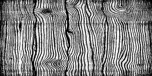 Abstract art on wood vector for card, illustration background, Close-up wooden lines texture. Tree rings. Annual ring. 