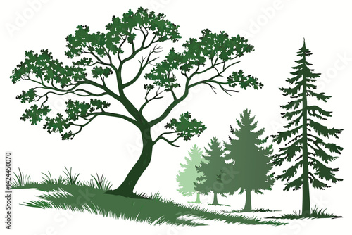 35 Diverse tree illustrations, watercolor style, green foliage, various shapes and sizes, deciduous and coniferous trees, botanical art, isolated on white background, top-down view, nature elements, l