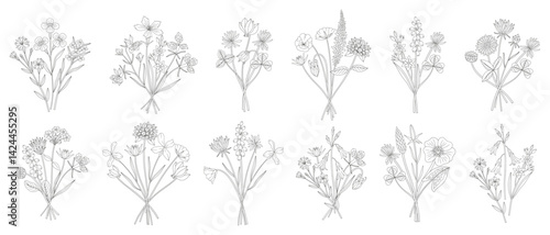 Wildflower line art bouquets set. Different meadow flowers, herbs, and wild plants. Botanical elements for design projects. Minimal style, contour. Vector illustration
