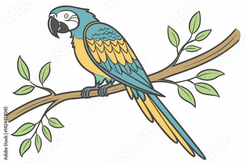 blue and yellow macaw