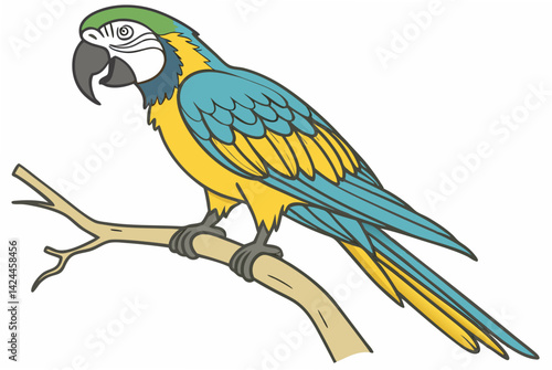 blue and yellow macaw