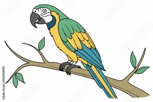 blue and yellow macaw