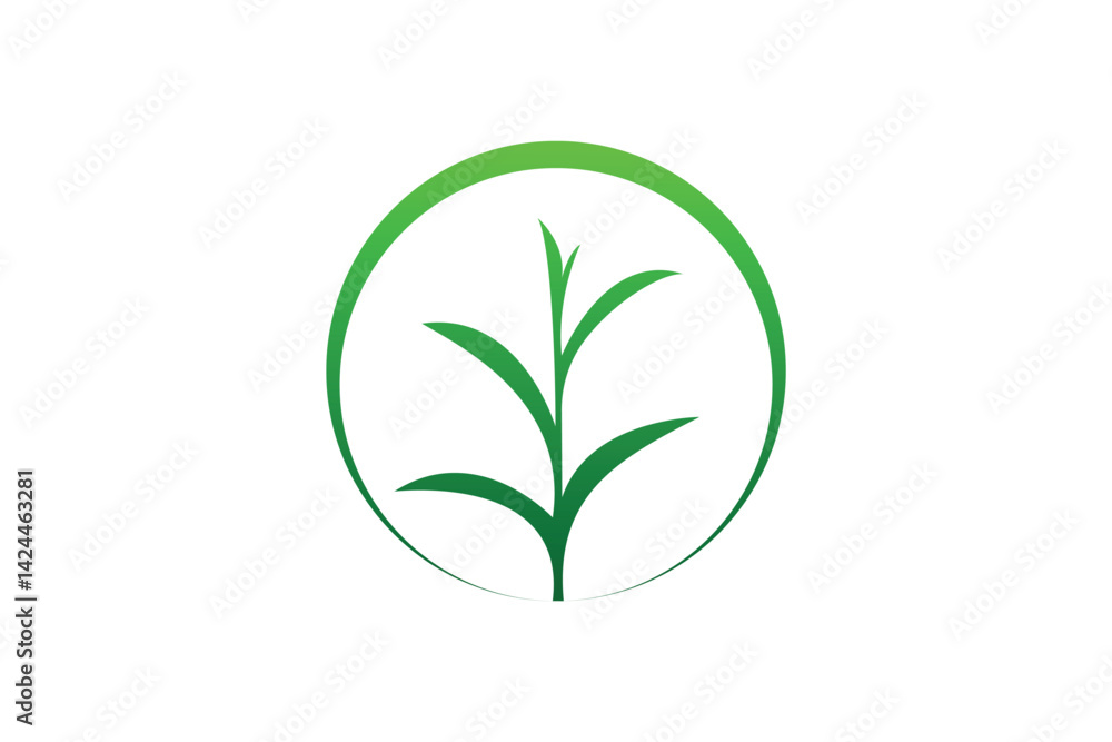 Fototapeta premium leaf nature logo vector template