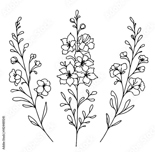 Set of outline herbs, Meadow leaves, doodle floral. Hand drawn wild flowers Botanical drawing. Detailed line art Delphinium illustration. Simple Stylized wildflowers. Black and White Larkspur