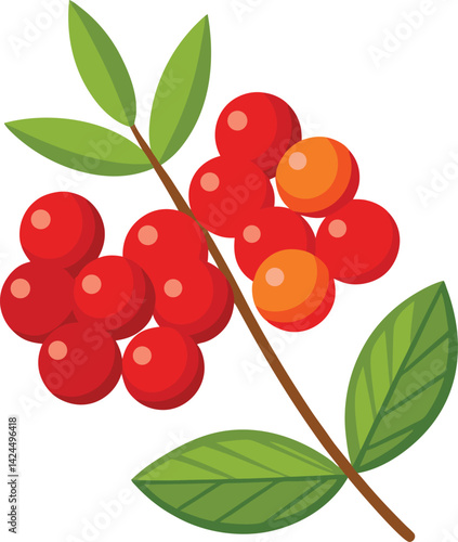 Rowan Berry