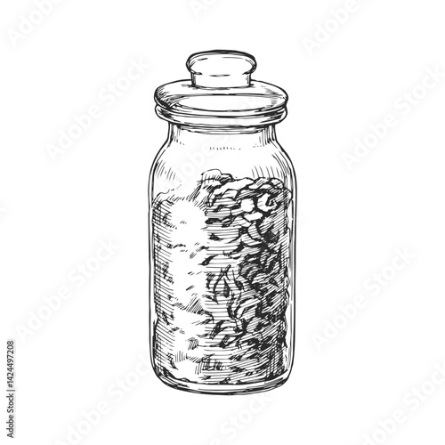 Vector hand-drawn illustration of a glass jar with green tea. Black and white sketch of herbal drink.
