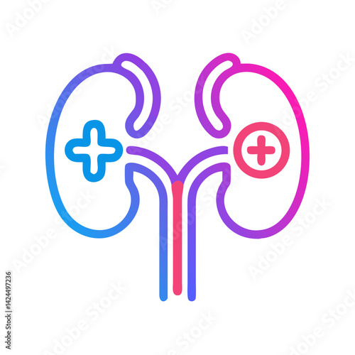 Kidneys with Plus Icon Representing Renal Health and Medical Care
