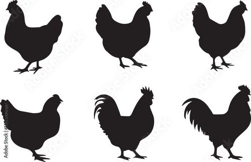 Set of Chicken and Rooster Silhouettes in Various Poses