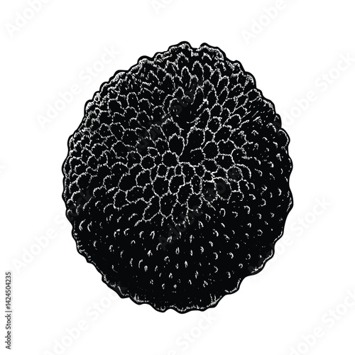 Abstract black Natural Loofah Sponge  sphere pattern, a 3d rendered illustration of an isolated object