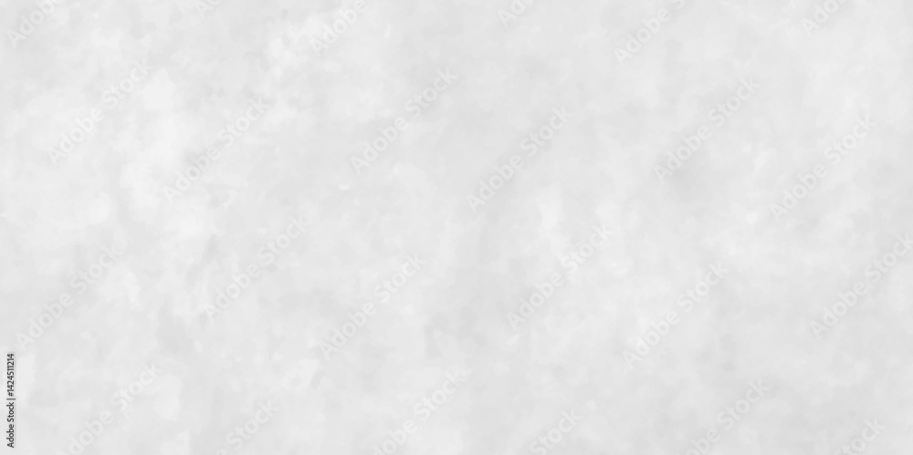 Obraz premium Panorama blank concrete white rough wall for background. Abstract white stone concrete floor or old cement grunge background. crack white wall texture. 