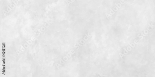 Panorama blank concrete white rough wall for background. Abstract white stone concrete floor or old cement grunge background. crack white wall texture.	