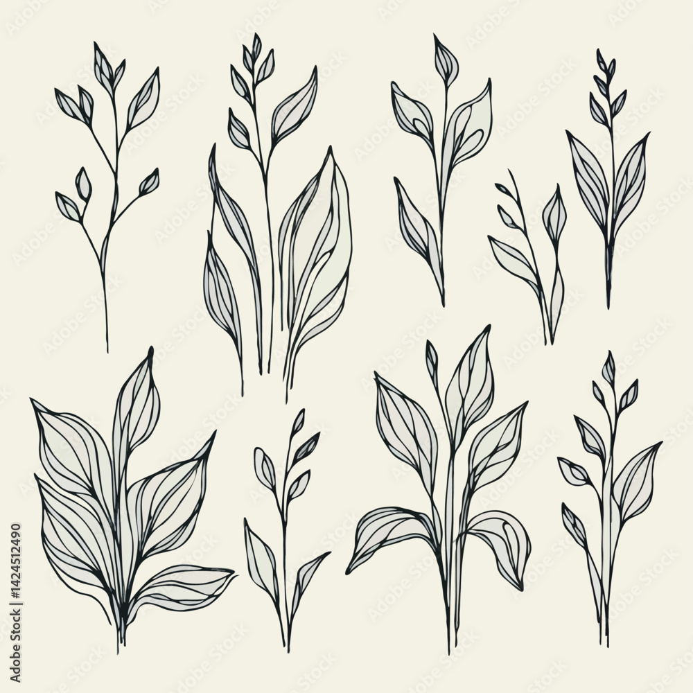 Naklejka premium Set of outline herbs, Meadow leaves, doodle floral. Hand drawn wild flowers Botanical drawing. Detailed line art twigs illustration. Simple Stylized wildflowers Black and White