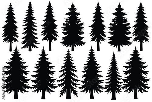 Silhouette Evergreen Tree, Conifer Forest, Pine Tree, Woodland Element, Trees