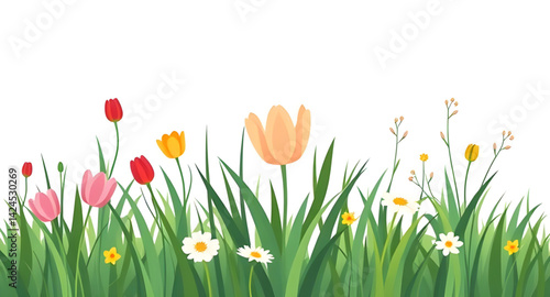 spring flowers and grass