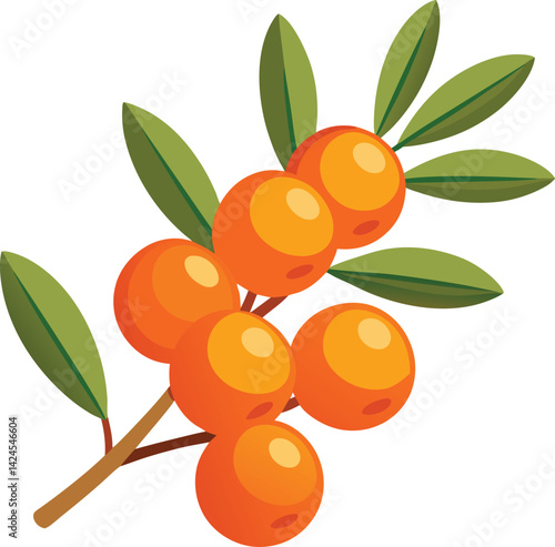 Sea Buckthorn