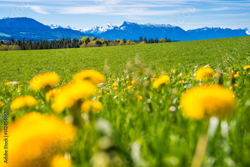 Blick auf Salzburg mit Watzmann und Untersberg im Frühling