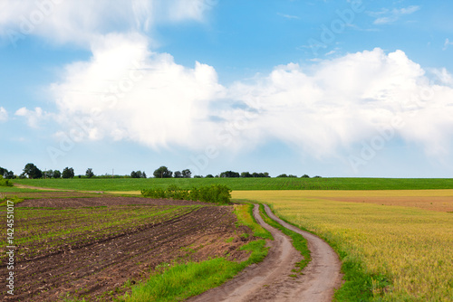Obraz na płótnie Dirt path winds through rural landscape, flanked by plowed fields under bright blue sky with fluffy white clouds. Countryside scene with a winding country road surrounded by lush agricultural fields w salonie