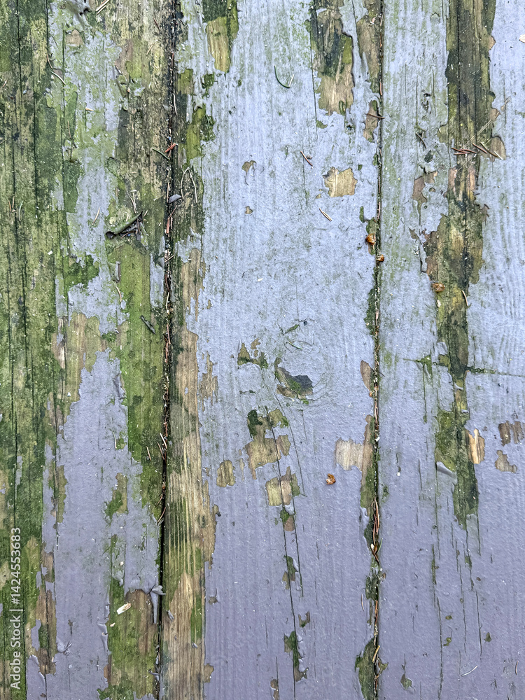 Obraz premium Closeup of weathered wood with peeling paint