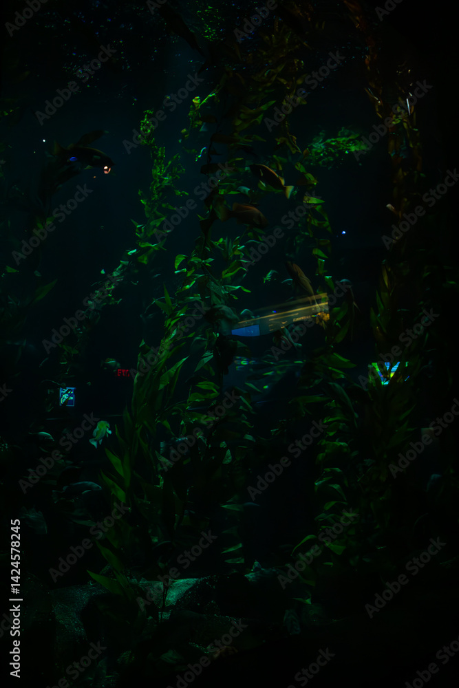 Obraz premium abstract green background
