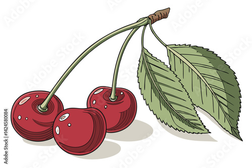 23 Photorealistic cherries, vibrant red, glossy skin, green stem and leaf, white background, detailed botanical illustration, high resolution, studio lighting, macro photography, hyper-realistic, digi