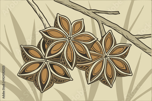 24 Detailed macro photograph, dried seed pod, intricate geometric pattern, star-shaped segments, brown and bronze tones, blurred natural background, botanical study, textural details, symmetrical arra