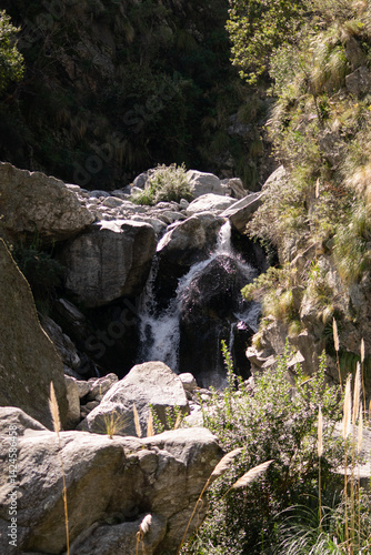 Close-up of a mountain stream flowing between large rocks in a rocky ravine. Water movement and textures are highlighted in natural lighting. A vivid detail of unspoiled wilderness.