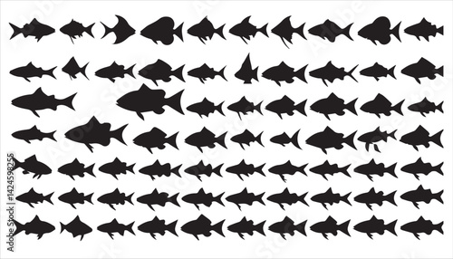 A group of fish silhouettes