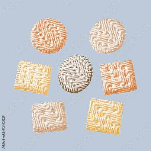 Cracker vector, cracker illustration, line drawing on gray background.