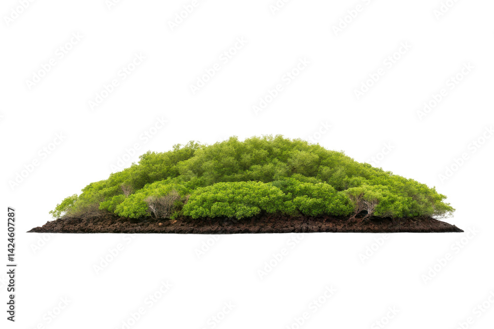 Fototapeta premium Lush green hill of mangrove trees perfect for nature-themed designs and eco-friendly projects