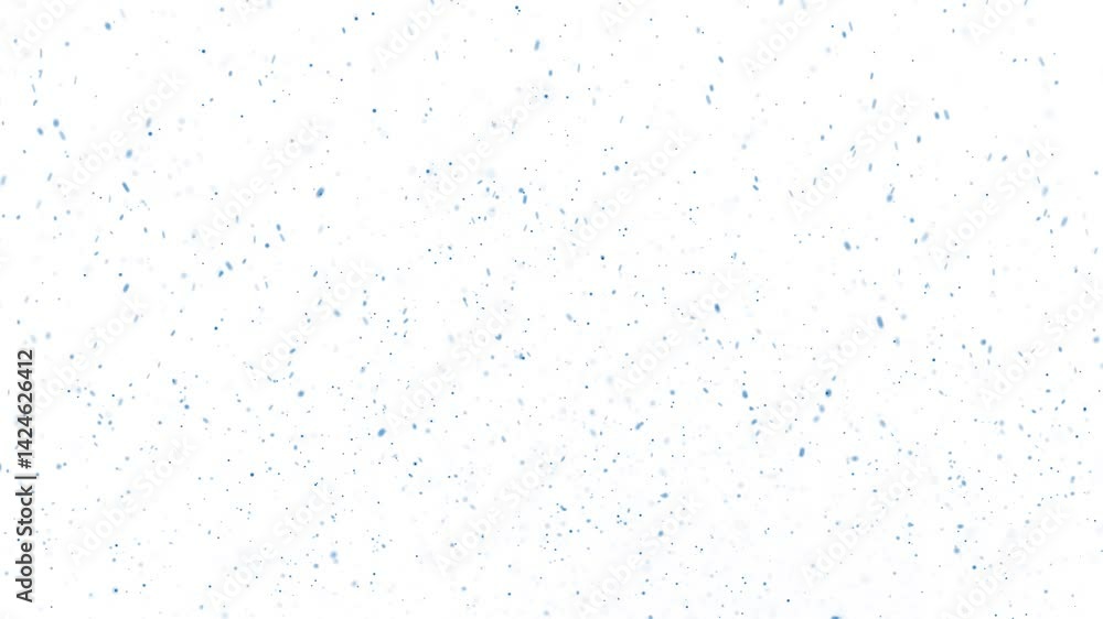Abstract flicker small blue dot particles loop flying on white background.
