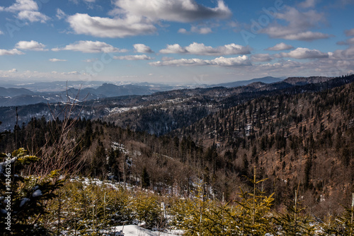 Fototapeta Naklejka Na Ścianę i Meble -  Devastated forest and stony road in the Mountains. The trail in the Beskid Mountains near Radziejowa.