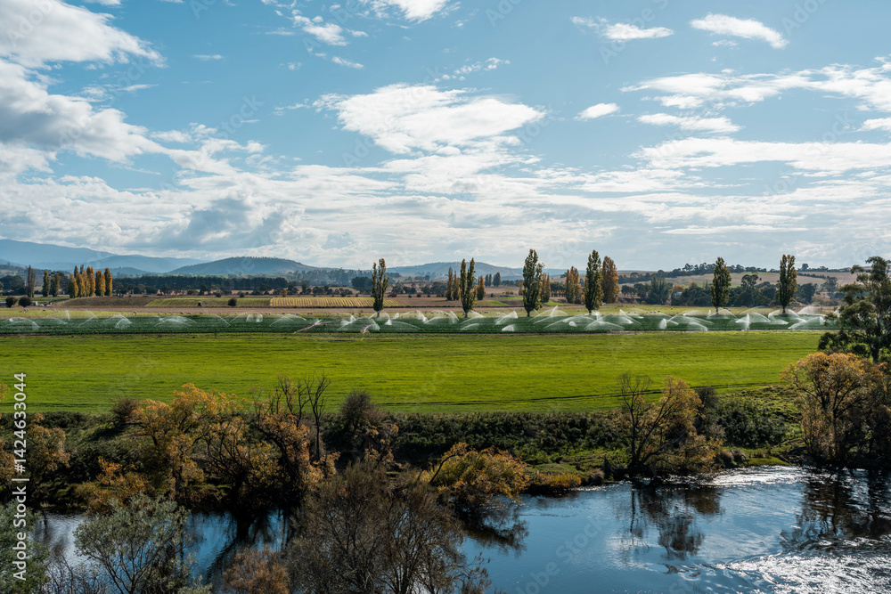 farm growing vegetables in a field irrigation with water from a river. sprinklers watering and producing food on a farm in australia