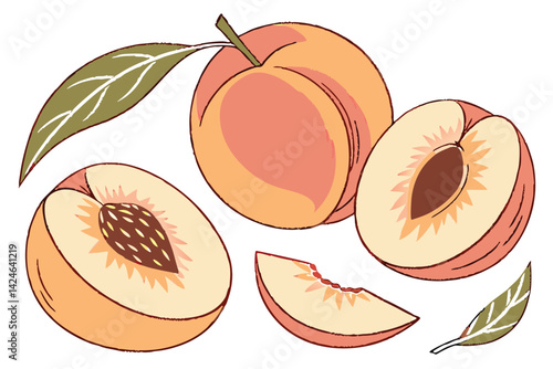52 Photorealistic peaches, vibrant orange-pink color, soft fuzzy skin texture, green leaves, white background, high detail, studio lighting, food photography, closeup, isolated fruit, fresh produce, j