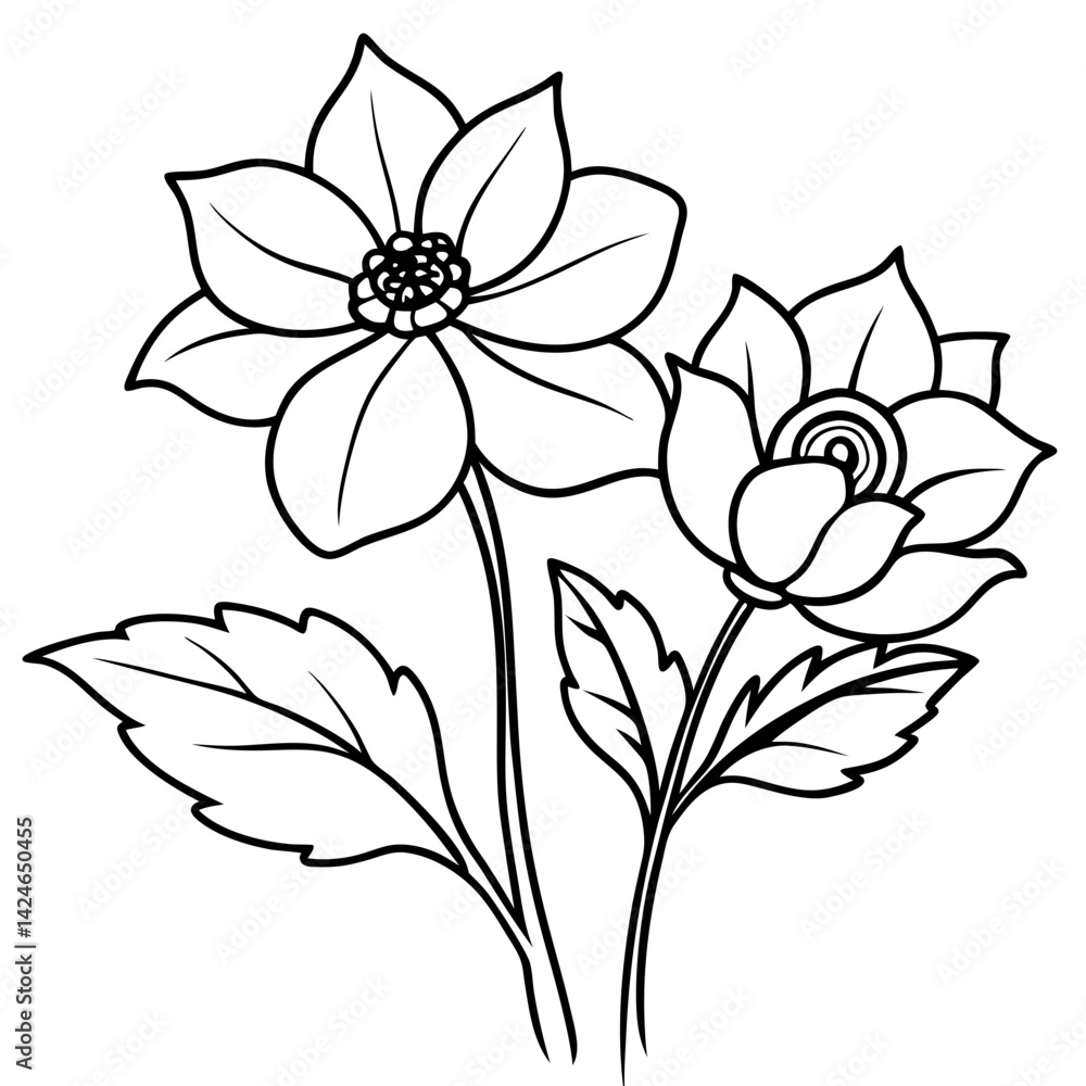 Obraz premium Minimalist Anemone Flower Composition