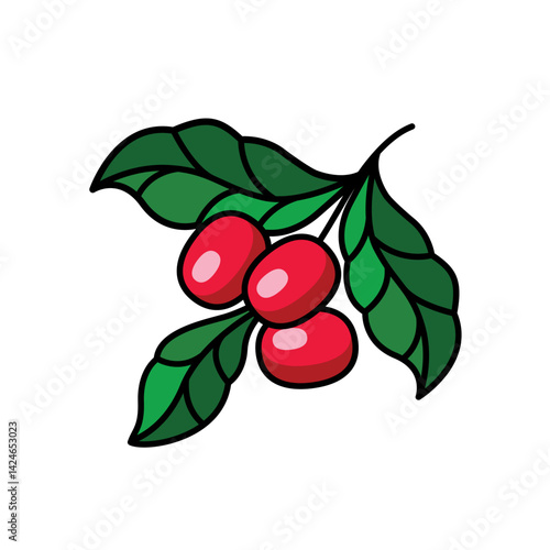 A bunch of bright red aromatic coffee berries hangs from a green leafy branch, emphasizing the contrast between the bright fruits and dark green foliage on a white background