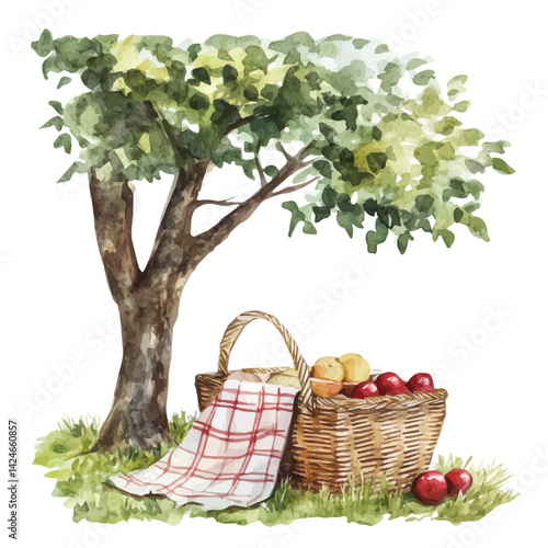 Summer picnic basket under a shady tree, watercolor illustration, isolated on a white background.

