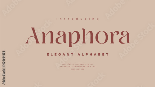 Trendy display serif typeface. Modern vintage alphabet collection. Reguler typography uppercase, lowercase and number. Vector illustration